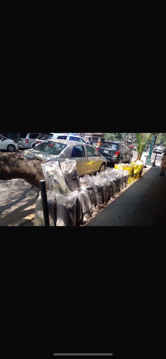 Colonia Roma Sur 🤝 (@romasur1) on Twitter photo <a href="/AlessandraRdlv/">Alessandra Rojo de la Vega</a> están a punto de tapar una jardinera hoy sábado 12:10 pm Manzanillo esq Aguascalientes <a href="/AlcCuauhtemocMx/">Alcaldía Cuauhtémoc</a> nos ayudas? <a href="/AlessandraRdlv/">Alessandra Rojo de la Vega</a> están a punto de tapar una jardinera hoy sábado 12:10 pm Manzanillo esq Aguascalientes <a href="/AlcCuauhtemocMx/">Alcaldía Cuauhtémoc</a> nos ayudas?