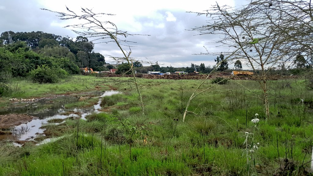 ███████ 🇵🇸 tweet media