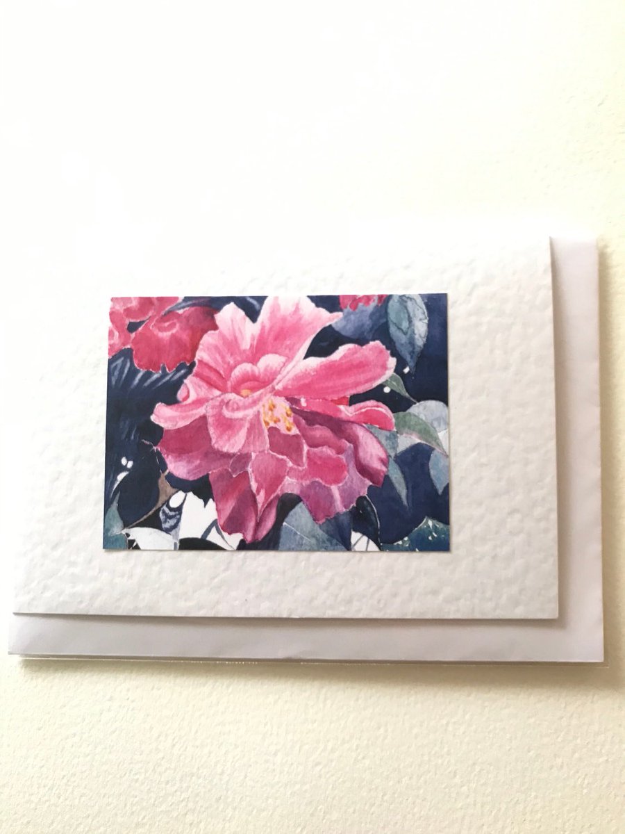 Jan Purves tweet media