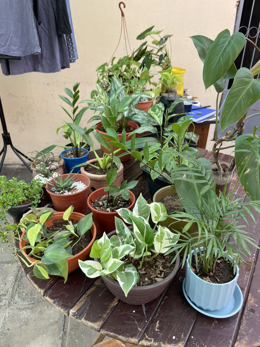 Karen Ovando tweet media