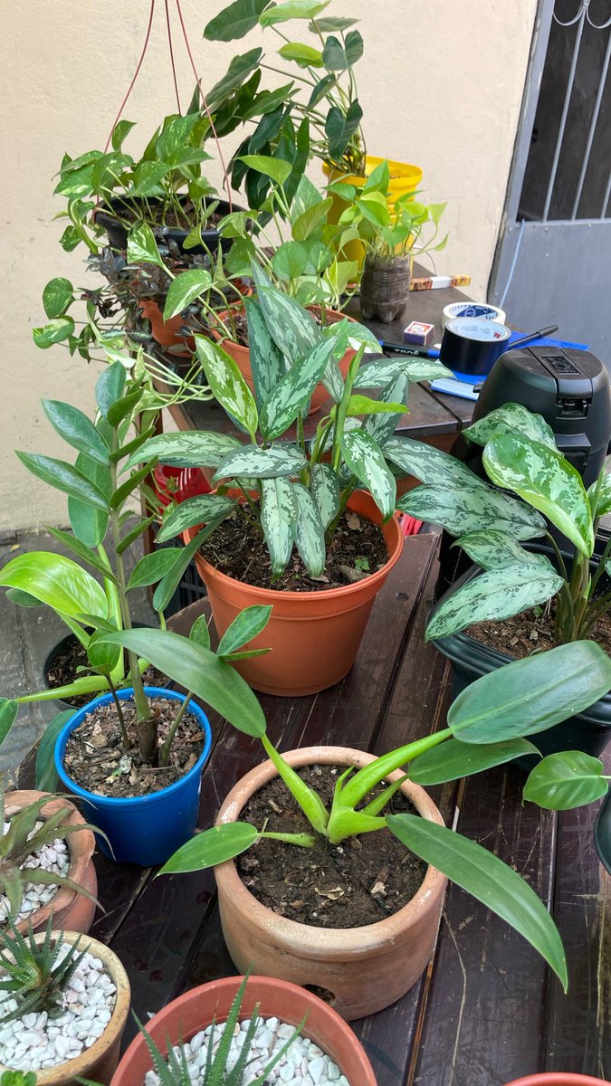 Karen Ovando tweet media