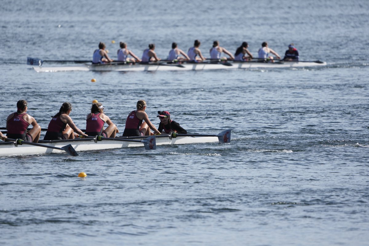 WSUCougarRowing's tweet image. It's a 3rd place finish for the Cougs at the 2025 WCC Championships after top-3 finishes in each of the four Grand Finals races Saturday morning!
📰 | wsucougars.com/news/2025/5/17…
#GoCougs