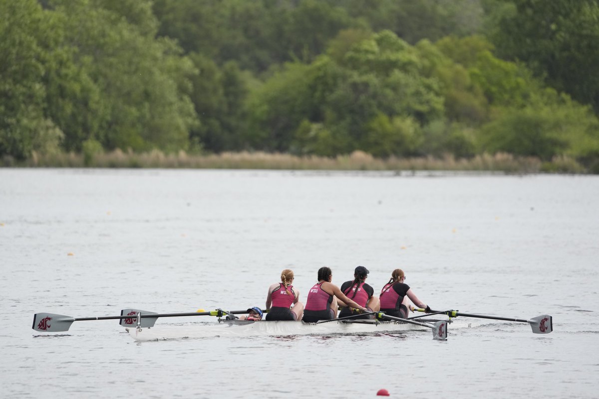 WSUCougarRowing's tweet image. It's a 3rd place finish for the Cougs at the 2025 WCC Championships after top-3 finishes in each of the four Grand Finals races Saturday morning!
📰 | wsucougars.com/news/2025/5/17…
#GoCougs