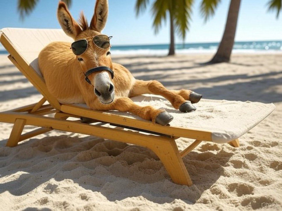 bartzio323's tweet photo. @ministerr GM Mate
Woke up bullish on $GDK every swap burns, every NFT earns.
Deflation is the flex, passive income is the play.
#GDK #BullishMorning #CryptoEcosystem @GoldenDonkeyGDK https://t.co/YPUR2ff2jt