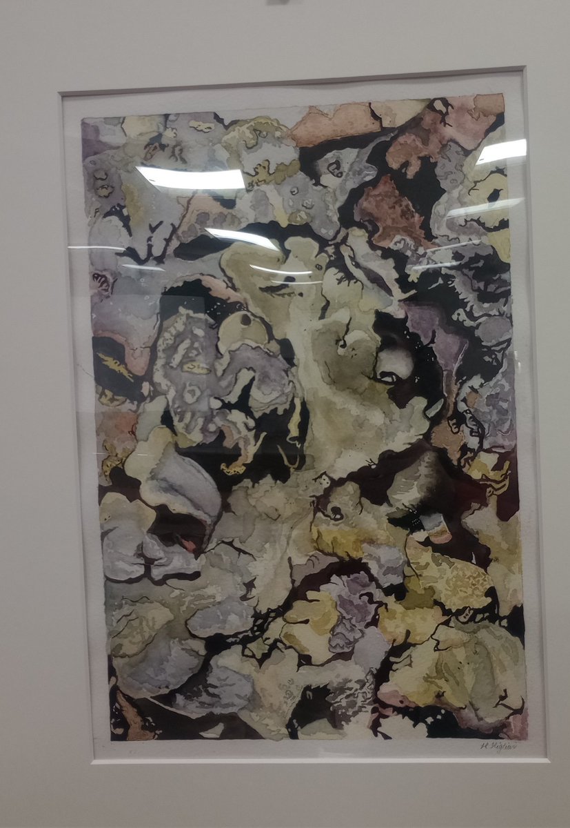 3HeadedLizard's tweet photo. 17 May: I went to see Hannah From Kickboxing's art at the Botanical Hues exhibition at the Polar Museum. It's lichen under a microscope using dyes made from lichen to create pigment. Thus rubbish photo doesn't do it justice, it's beautiful ❤️ #NewThingEveryDayInMay https://t.co/9NyjXVPvyj