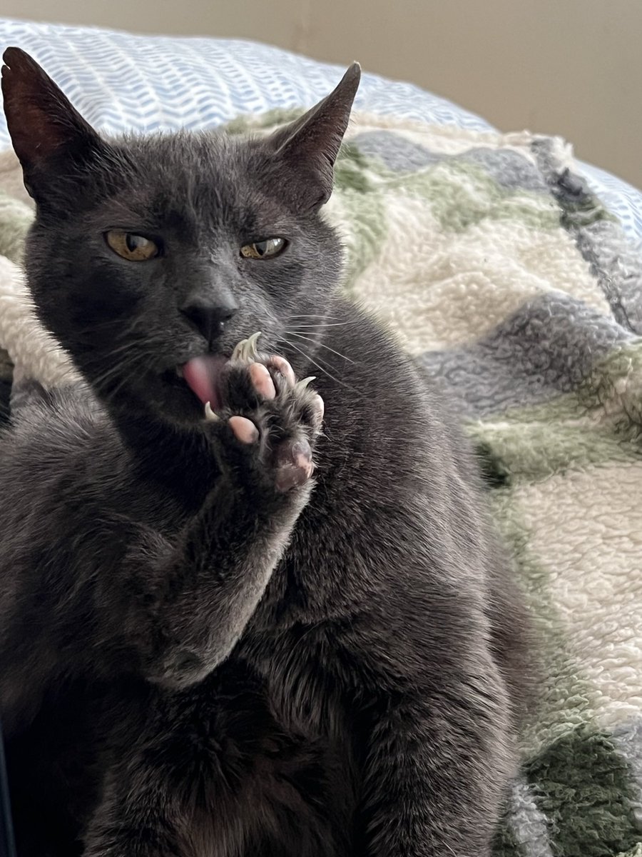 Sarah Evans tweet media