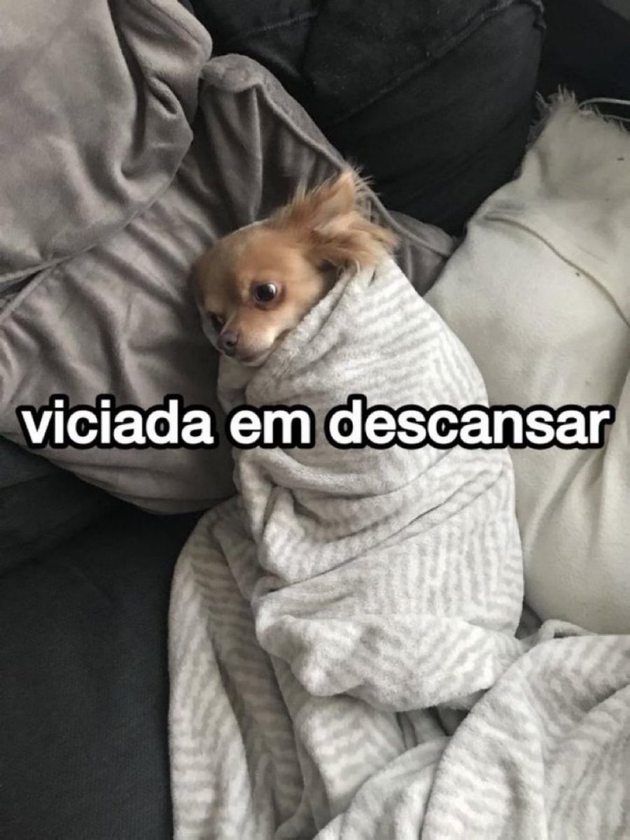 Vittor Fernando (@vittorfernando) on Twitter photo 