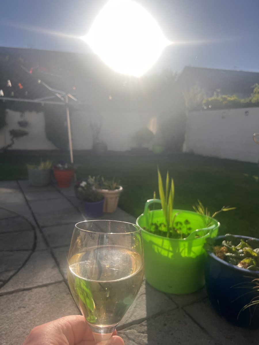 Tom Hackett 🤪 (@tweatycity) on Twitter photo This sitting in the back garden with wine is becoming a real challenge.  I’ll persevere! 😉 This sitting in the back garden with wine is becoming a real challenge.  I’ll persevere! 😉
