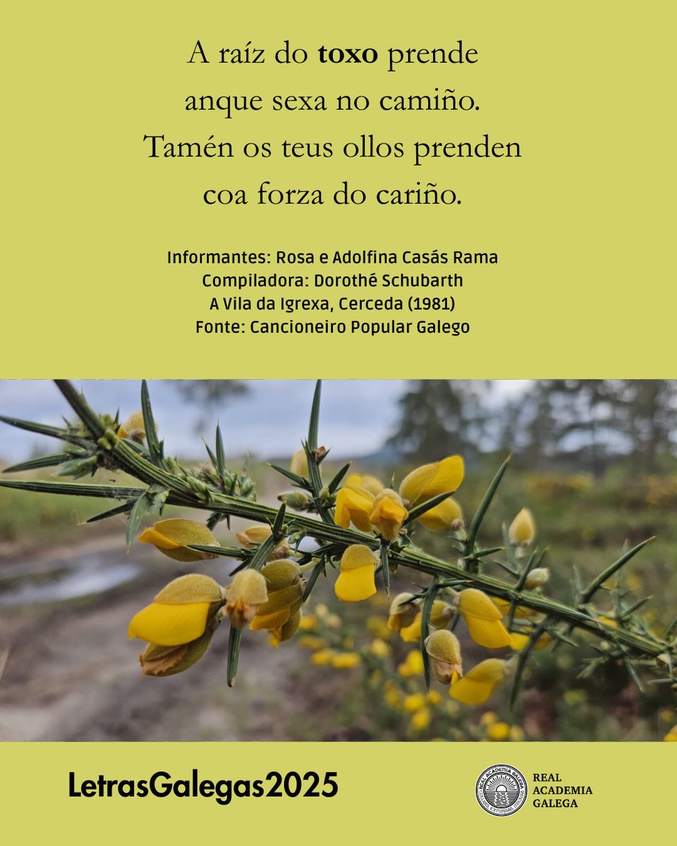 Hoxe é o Día das Letras Galegas! Este ano adicado ás cantareiras! ⁦<a href="/AcademiaGalega/">Real Academia Galega</a>⁩