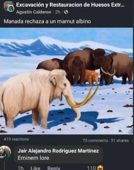 Memakker (@memakker) on Twitter photo 