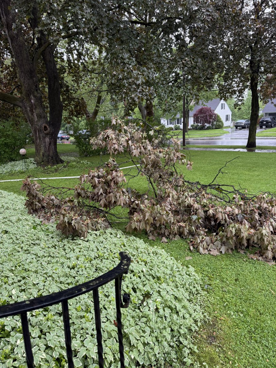 Sondramcf's tweet photo. @EricSnitilWx Heavy downpour that caused some flooding, this limb down, heavy wind, lightning, no hail. Was that just a thunderstorm or something else?? https://t.co/KQIDF6v6n5