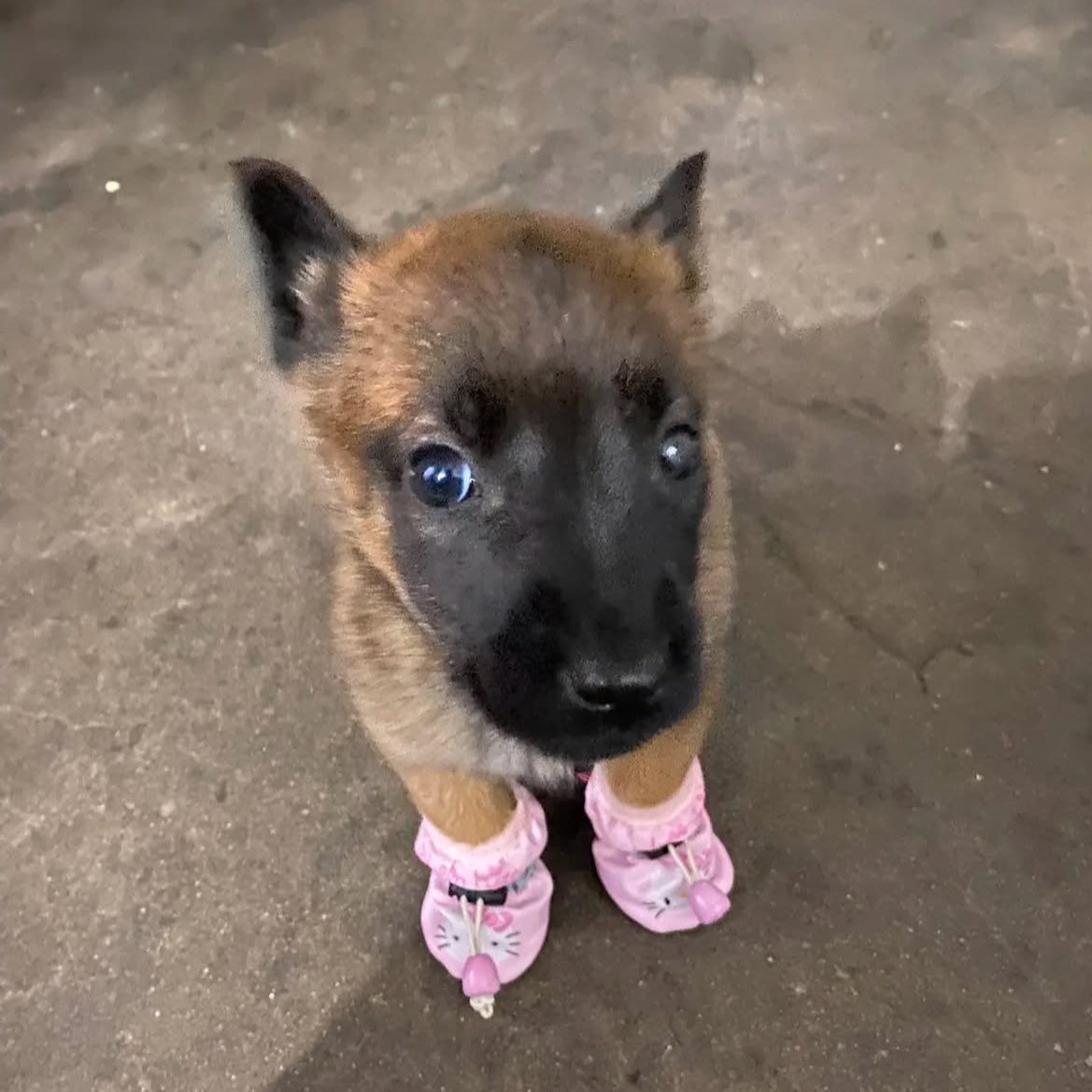 how it feels wearing merch from a concert the next day