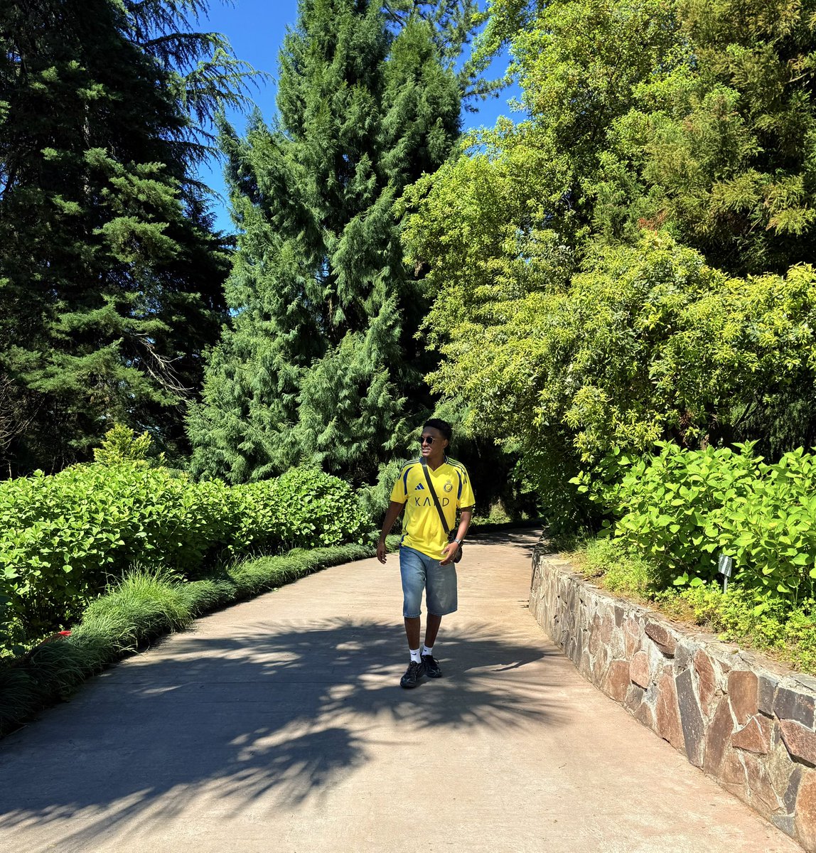 himoura_'s tweet photo. Some where 💛. https://t.co/w4eyeggEJg