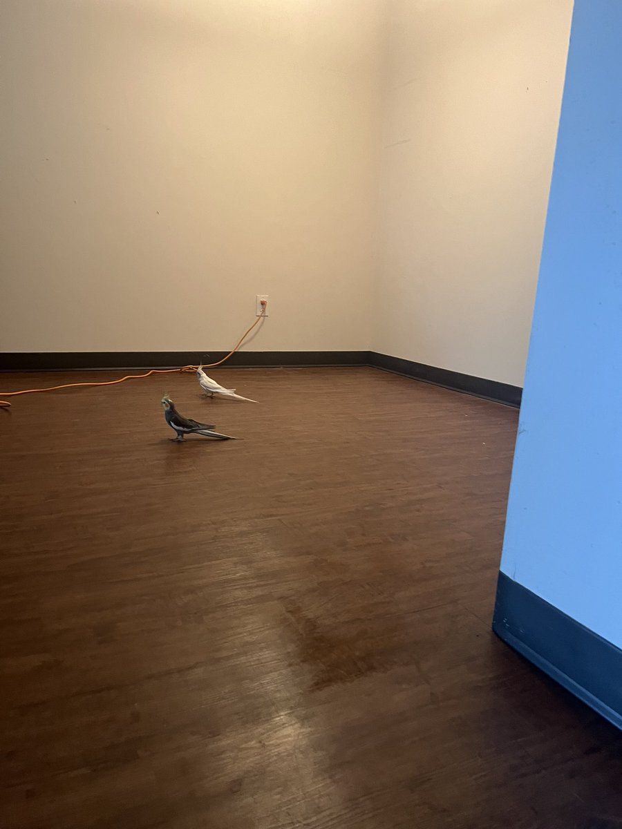 Our dining room disappeared!