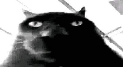 DoctorofNothin1's tweet photo. @DailyLoud I could tell what race is the shooter. https://t.co/VGO1XUHXOO