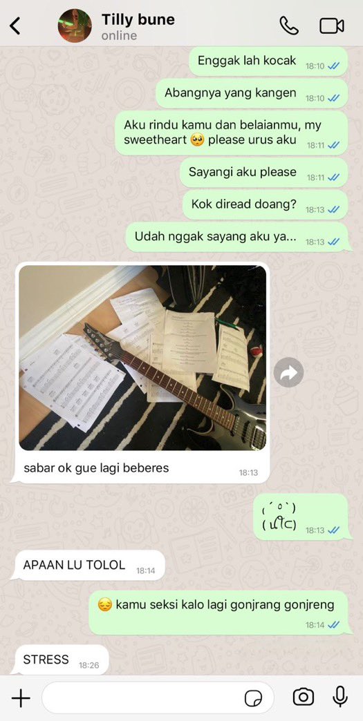 ALIEN STAGE FESS | OFF tweet media