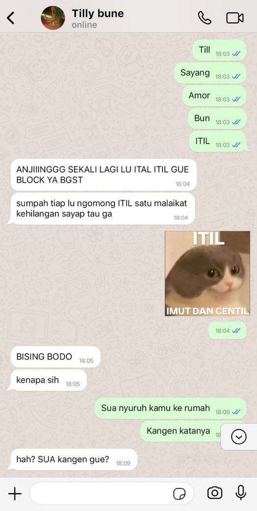 ALIEN STAGE FESS | OFF tweet media