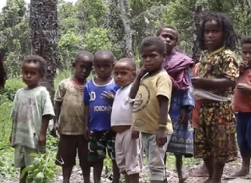 Indonesia Bombs the Indigenous Papuans in West Papua (Global Indifference) moderntokyotimes.com/indonesia-bomb… MODERN TOKYO TIMES  <a href="/RoninJayMTT/">Jay Ronin</a>
<a href="/MTTsawako/">Sawako</a> #WestPapua #Indonesia #Persecution #Colonialism  #岸田 #地政学 #インドネシア #西パプア