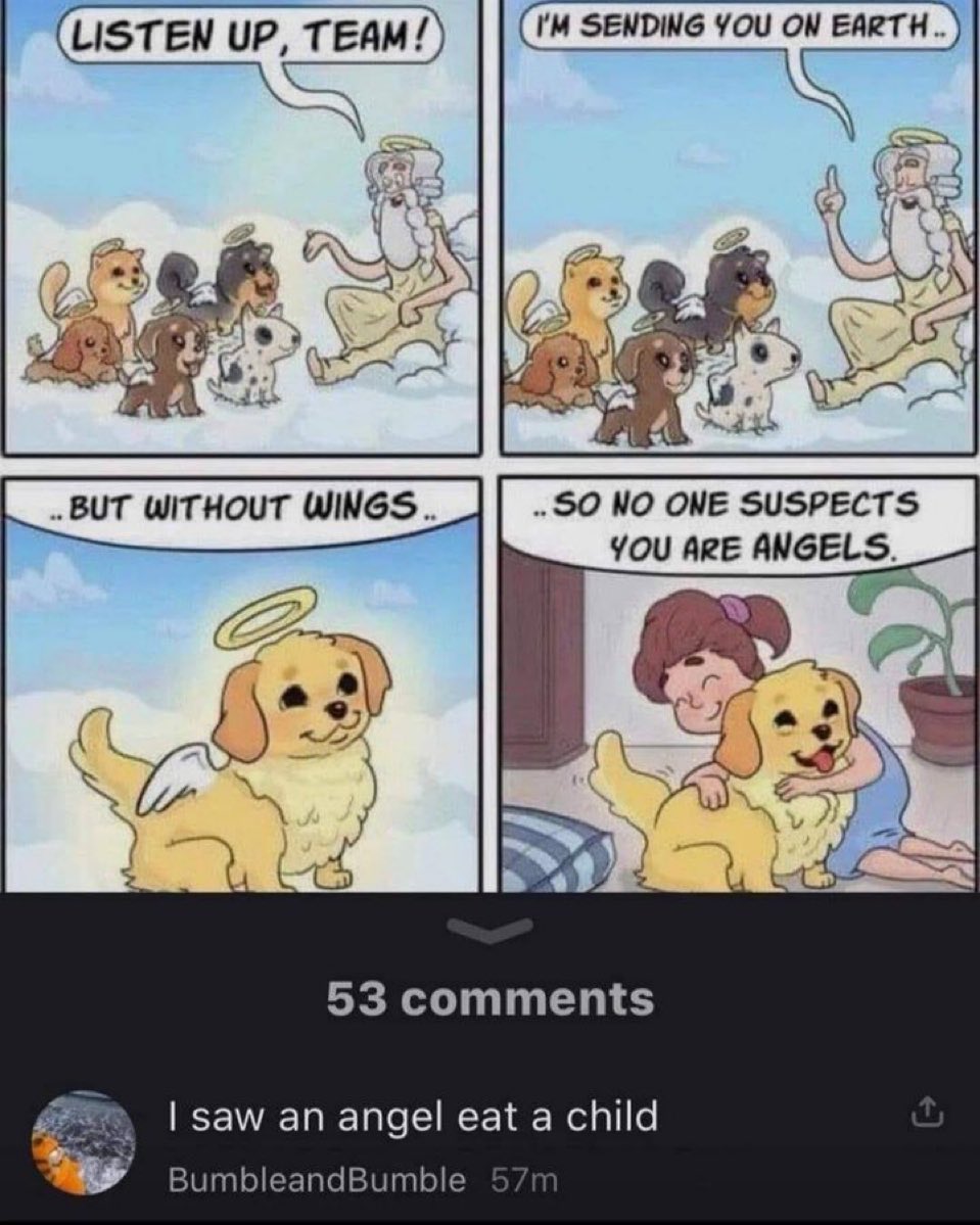 chaotic memes (@memechaotic) on Twitter photo 