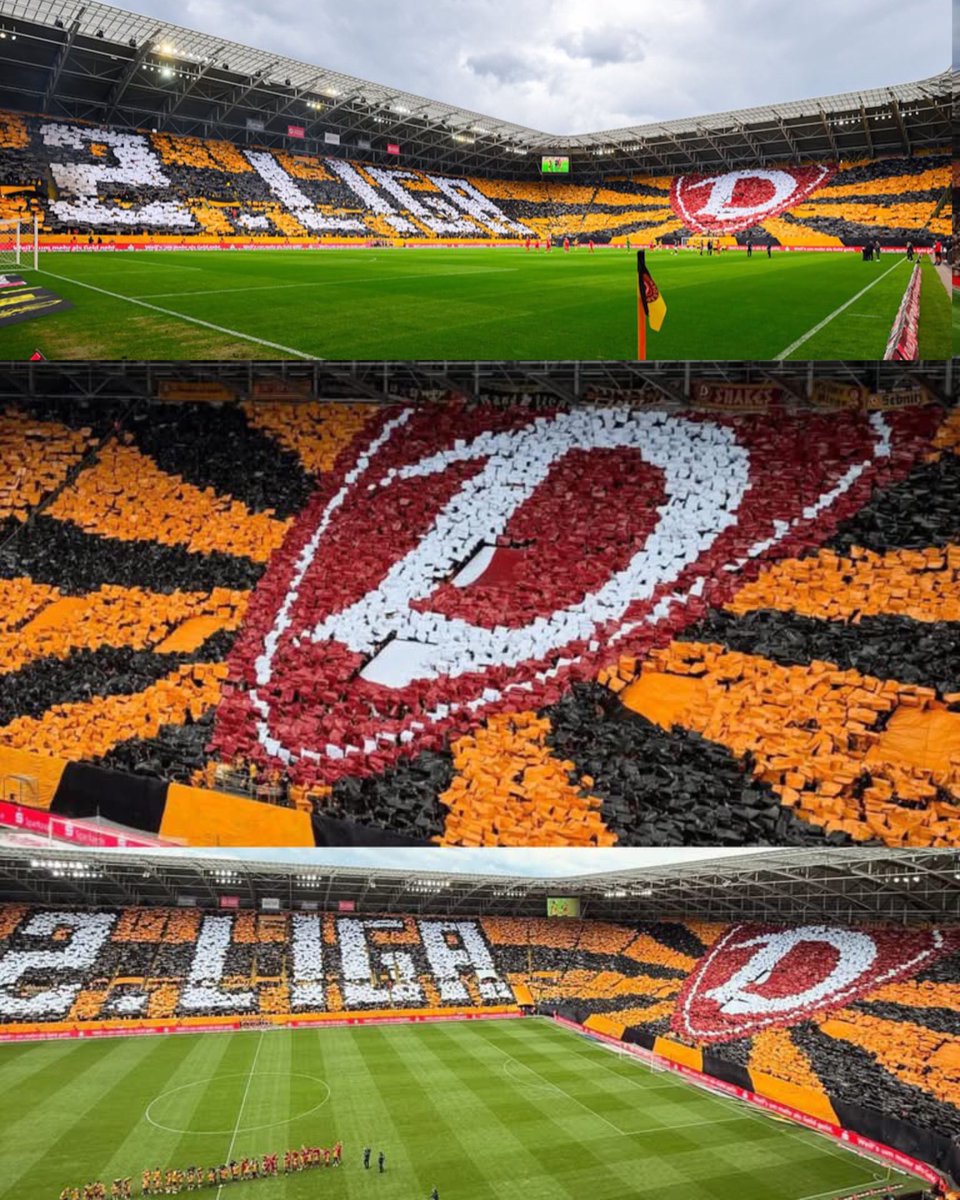 Ultras Clips tweet media