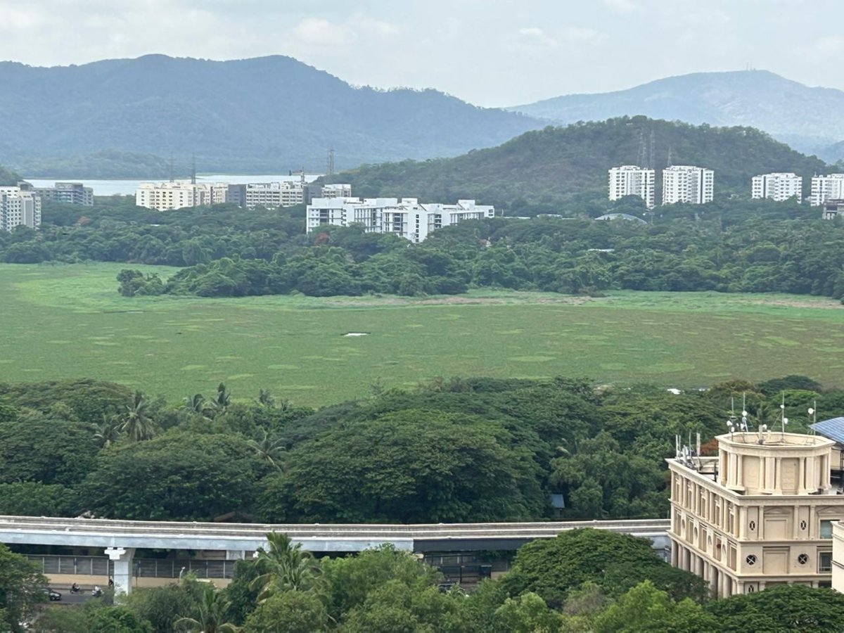 NATCONNECT FOUNDATION (@natconnectnow) on Twitter photo #SavePowaiLake. Please sign this petition and spread the word.
chng.it/QjJNKSsDFD
Look at the state of Mumbai's wetland. Please try to spot water. The lake is adjoining the main road and sorry to say, no official, minister, MLA or MP has noticed it. <a href="/Dev_Fadnavis/">Devendra Fadnavis</a> #SavePowaiLake. Please sign this petition and spread the word.
chng.it/QjJNKSsDFD
Look at the state of Mumbai's wetland. Please try to spot water. The lake is adjoining the main road and sorry to say, no official, minister, MLA or MP has noticed it. <a href="/Dev_Fadnavis/">Devendra Fadnavis</a>