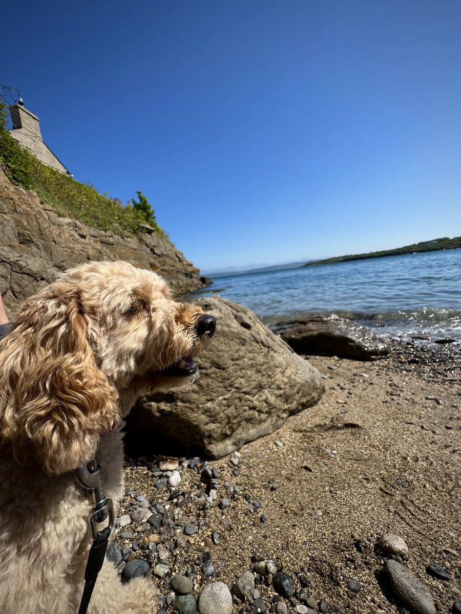 Ian Finch tweet media