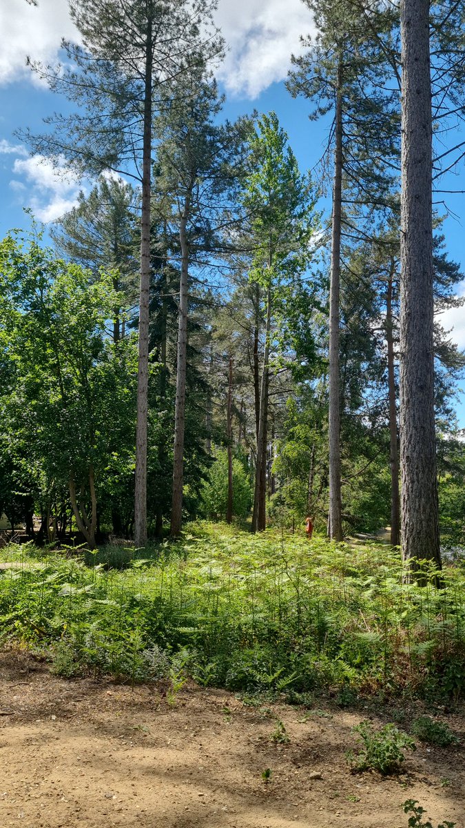 Tina Death tweet media