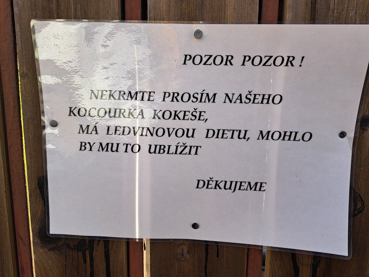 A ještě abych nezapomněl // neodkládal do neúnosna: V březnu byla zima skoro jako dnes, ale median strip už kvetl, byť drobně. Co teprv zítra! // Oslavy 40in <a href="/VojtaVarys/">Vojtěch Varyš</a> (ty kundo) začnou po 17h, Nuselský/krčský hřbitov, odd. 13, místo 122. Pak zelenaliska.cz a tak dál.
