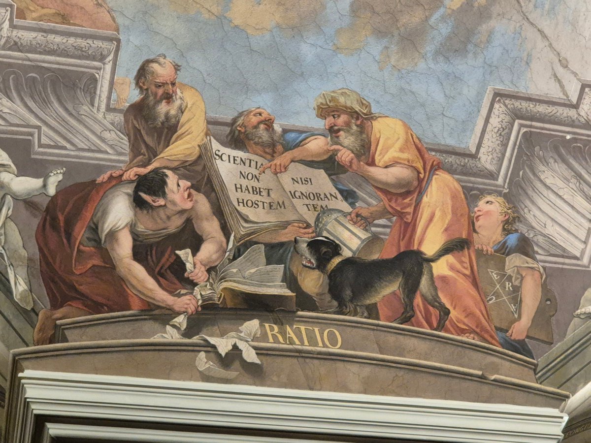 hafnerm's tweet photo. @harvardnews @Harvard https://t.co/0tdUdRh8Fg