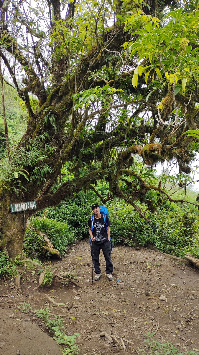 nennsky's tweet photo. 😜💫
#merbabu https://t.co/uXLHsChQGZ