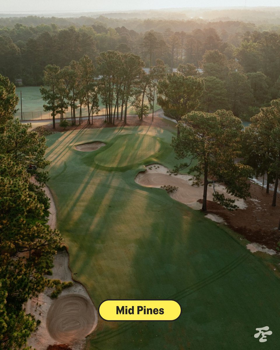 Fried Egg Golf tweet media