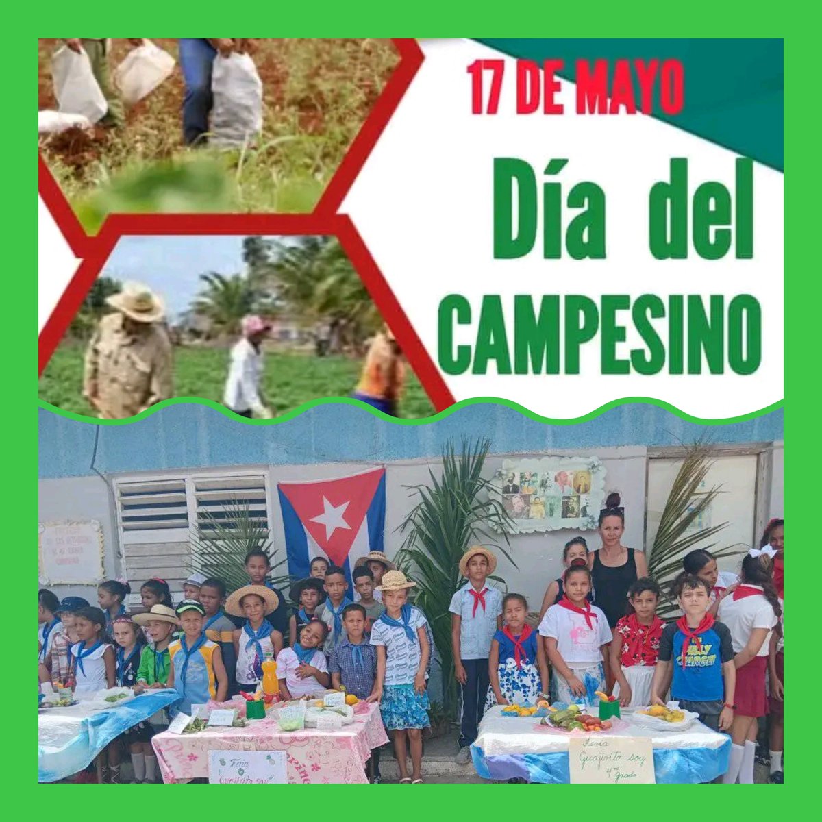 DaynerD72665's tweet photo. #Nuevitas 📸  Educadores y estudiantes realizaron un homenaje al día del campesino con una feria "Guajirito soy" resaltando la formación vocacional y la importancia de la labor del campesino.
#PorCamagüeyTodo
#PorCubaJuntosCreamos
#TrabajadoresProtagonistas
#Cubam https://t.co/ndpxwq7Aps
