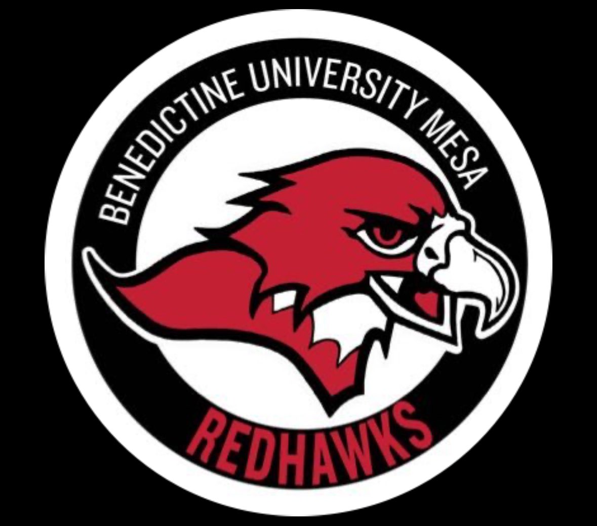 Blessed to receive an offer from <a href="/BenUMBB/">BenU Mesa Men’s Basketball</a> (AZ) !