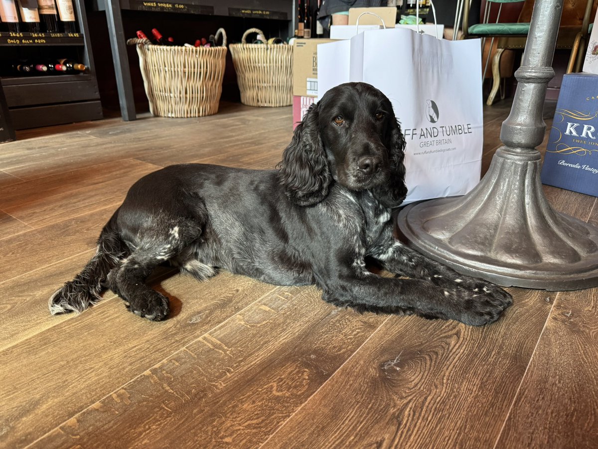 April_1970s's tweet photo. George has been shopping. Then, a wine stop. https://t.co/nZzt5Np5qL