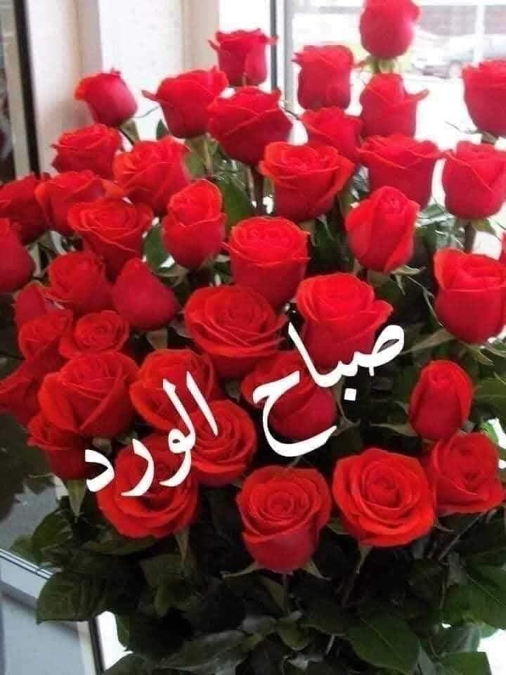 صباح الخير والسعادة