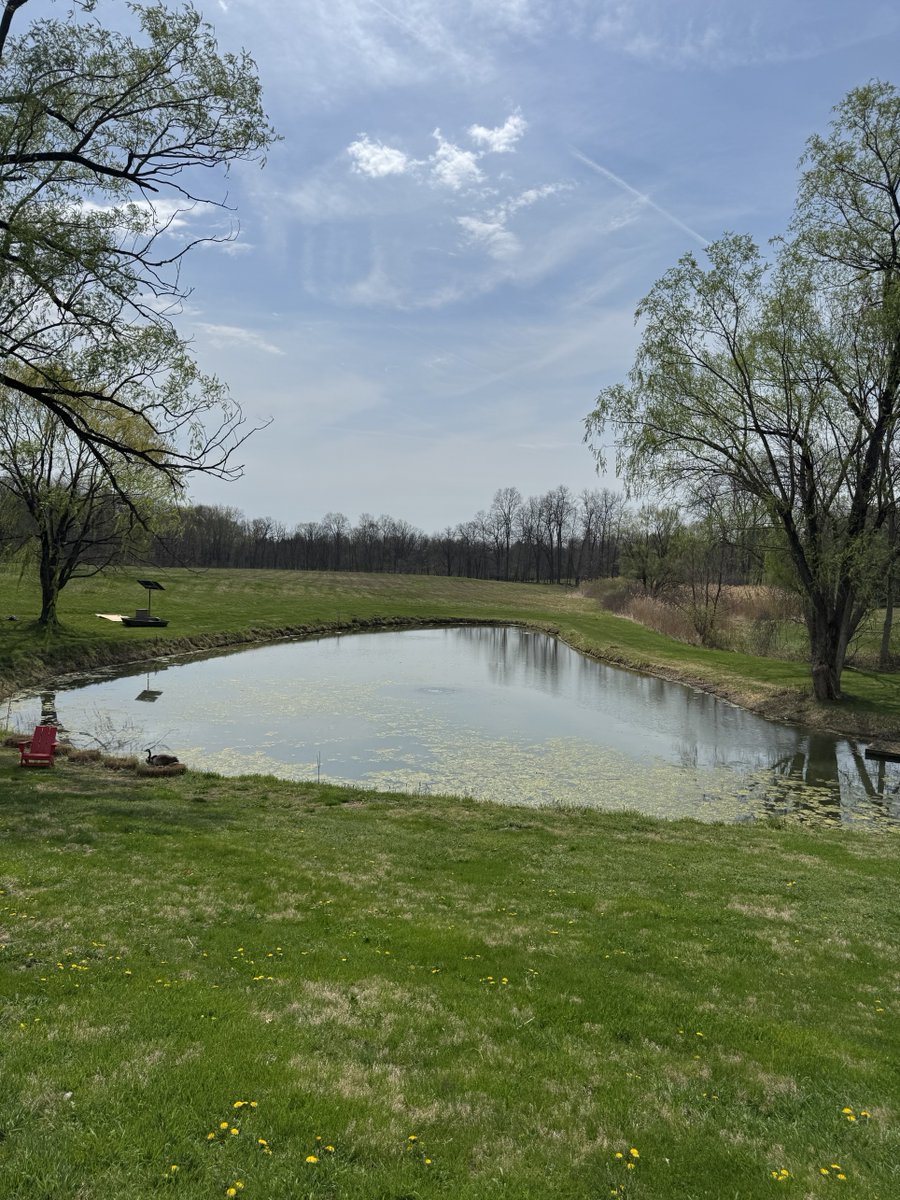 thepondandlake's tweet image. Transform your pond with our Solar Diffused Aerator! 🌞💧 This solution enhances water quality by increasing oxygen levels, promoting healthier fish and cleaner water. 

#SolarAerator #PondLife #SustainableLiving #HealthyPond