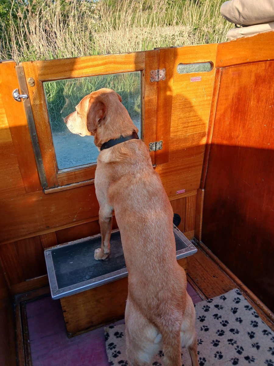 If you fancy a family holiday  - look no further than Martham Boats!

With a choice of great boats and the wonderful backdrop of the Broads, there's nowhere better in our opinion!

Bring all the family plus your pet dog*!  Enjoy!

marthamboats.com

*See T&amp;C's