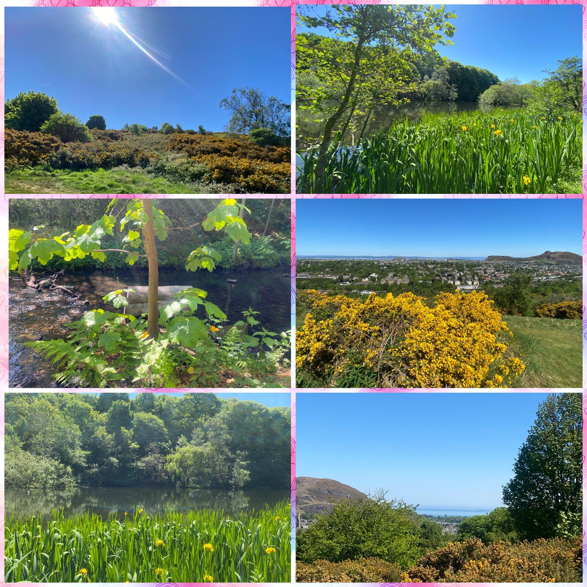 JudeMckerrecher's tweet image. #Tinymomentsofjoy🫶the wonderful moments with S3 in Berlin; a very warm family &amp;amp; 😻😻welcome coming home❤️; a beautiful walk in nature &amp;amp; sunlight; Prayers for World Peace at KMC Edinburgh; gratitude🙏; kindness🙌