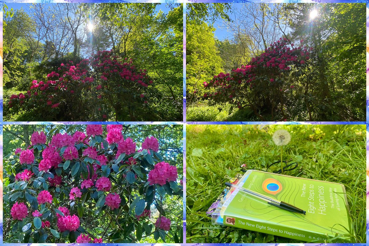 JudeMckerrecher's tweet image. #Tinymomentsofjoy🫶the wonderful moments with S3 in Berlin; a very warm family &amp;amp; 😻😻welcome coming home❤️; a beautiful walk in nature &amp;amp; sunlight; Prayers for World Peace at KMC Edinburgh; gratitude🙏; kindness🙌