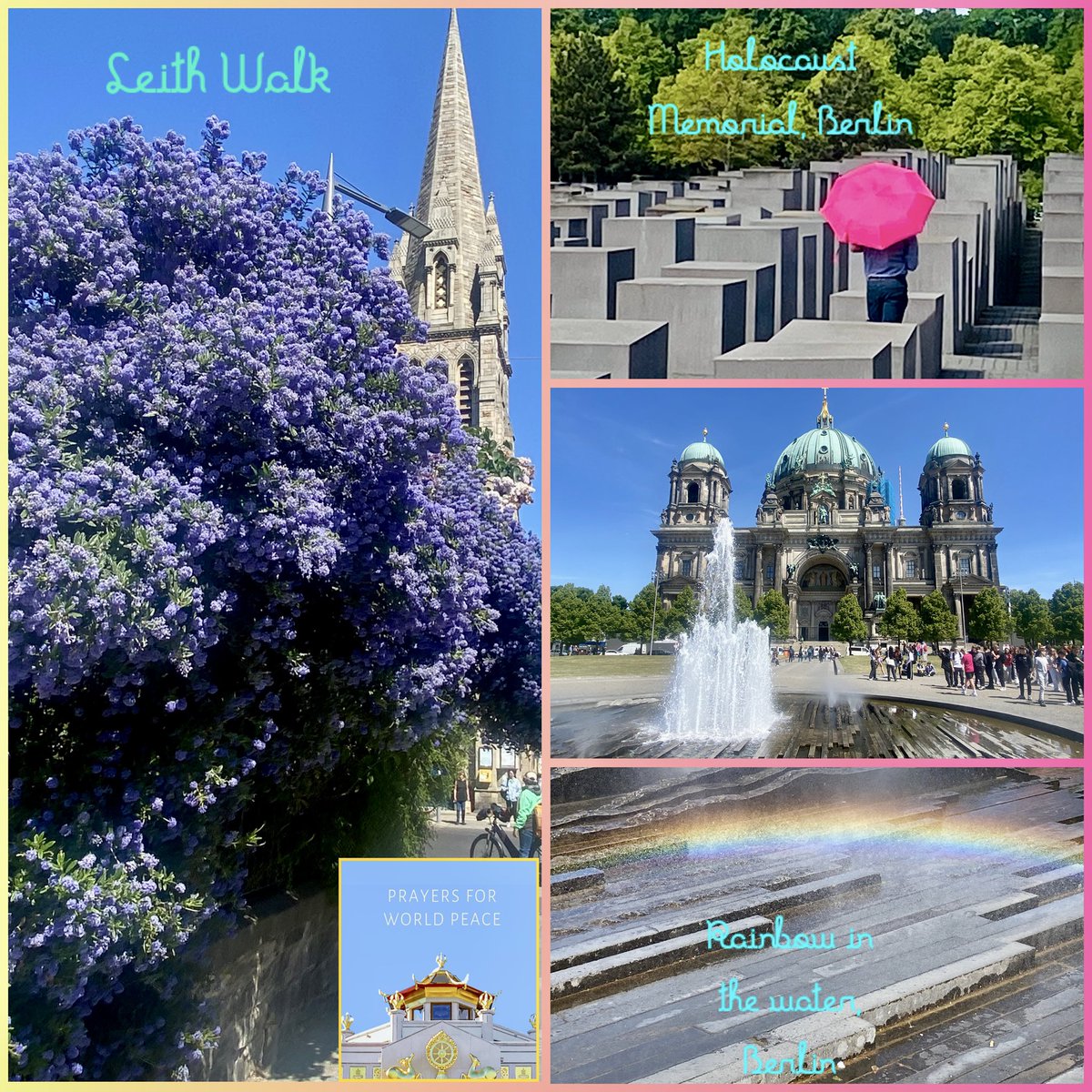 JudeMckerrecher's tweet image. #Tinymomentsofjoy🫶the wonderful moments with S3 in Berlin; a very warm family &amp;amp; 😻😻welcome coming home❤️; a beautiful walk in nature &amp;amp; sunlight; Prayers for World Peace at KMC Edinburgh; gratitude🙏; kindness🙌