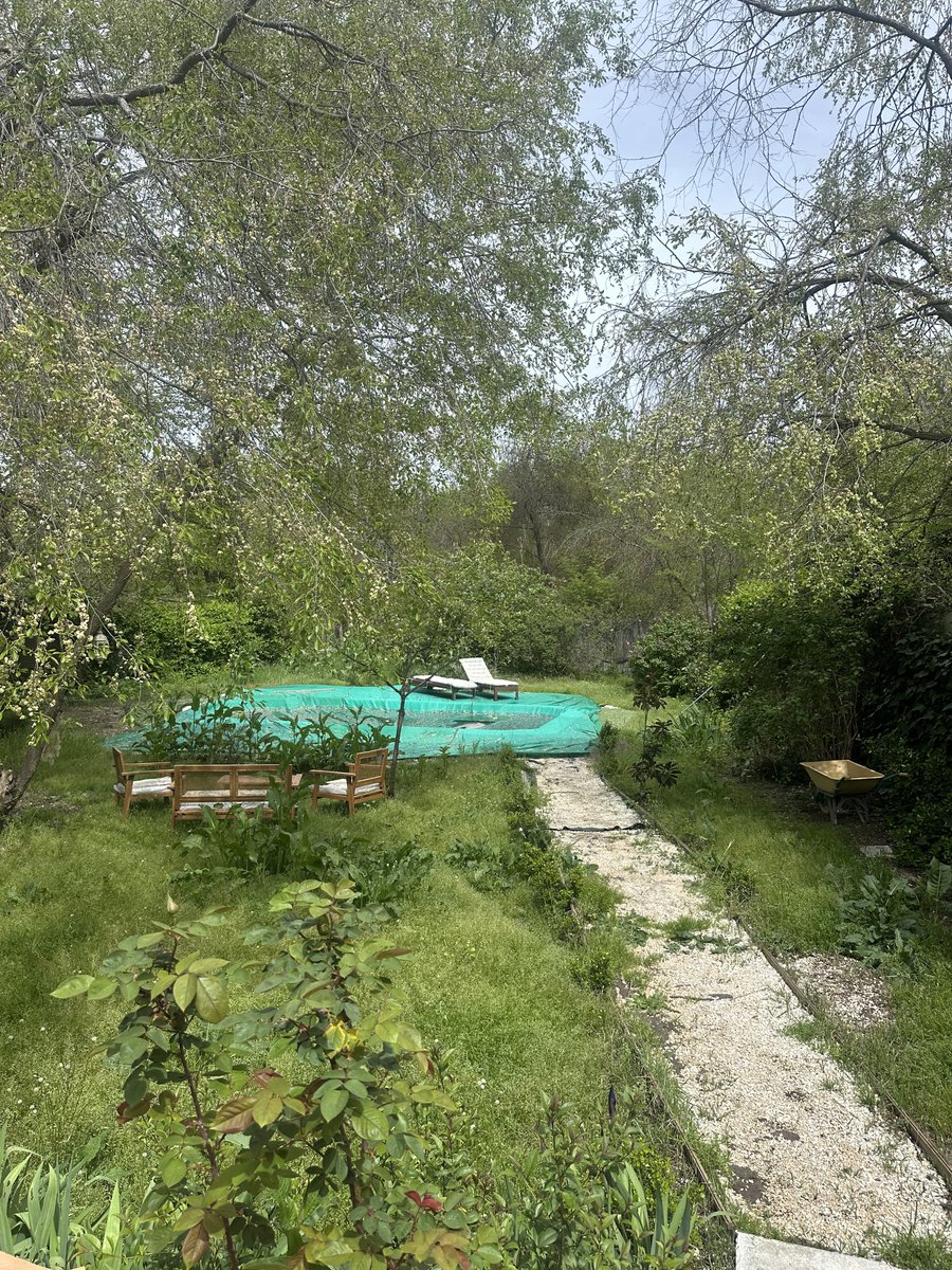 jeeffes's tweet photo. Amo como minha cabecinha funciona: desde que fui demitido, sentia q precisava “rever” várias coisas, porém, n conseguia ter 100% de foco pq o jardim tava uma selva. Agora que o jardineiro veio, parece que renovou minha alma https://t.co/1Aewjyu32H