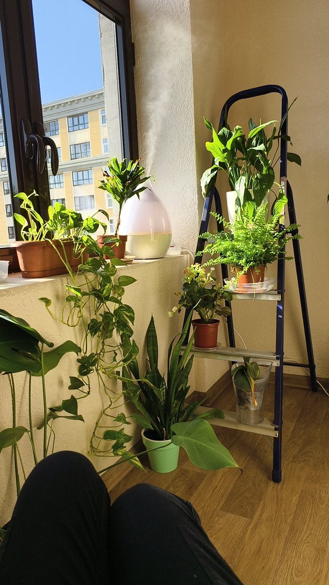 Это женщина нашла стремянку
@
Стремянки больше нет