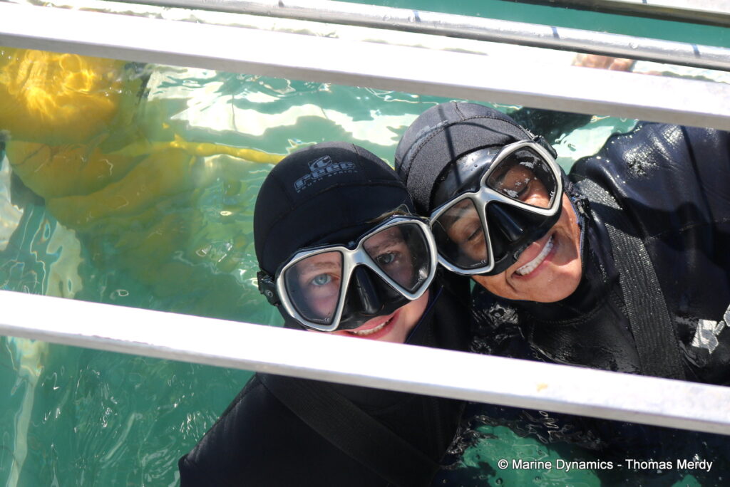 An Unforgettable 5-star Ocean Adventure!
Joanna Vahlsing recently joined us for a Shark Cage Diving experience with return transfers from Cape Town, and here’s what she had to say:
“The shark cage diving adventure with Marine Dynamics was one of the highlights of my trip to South