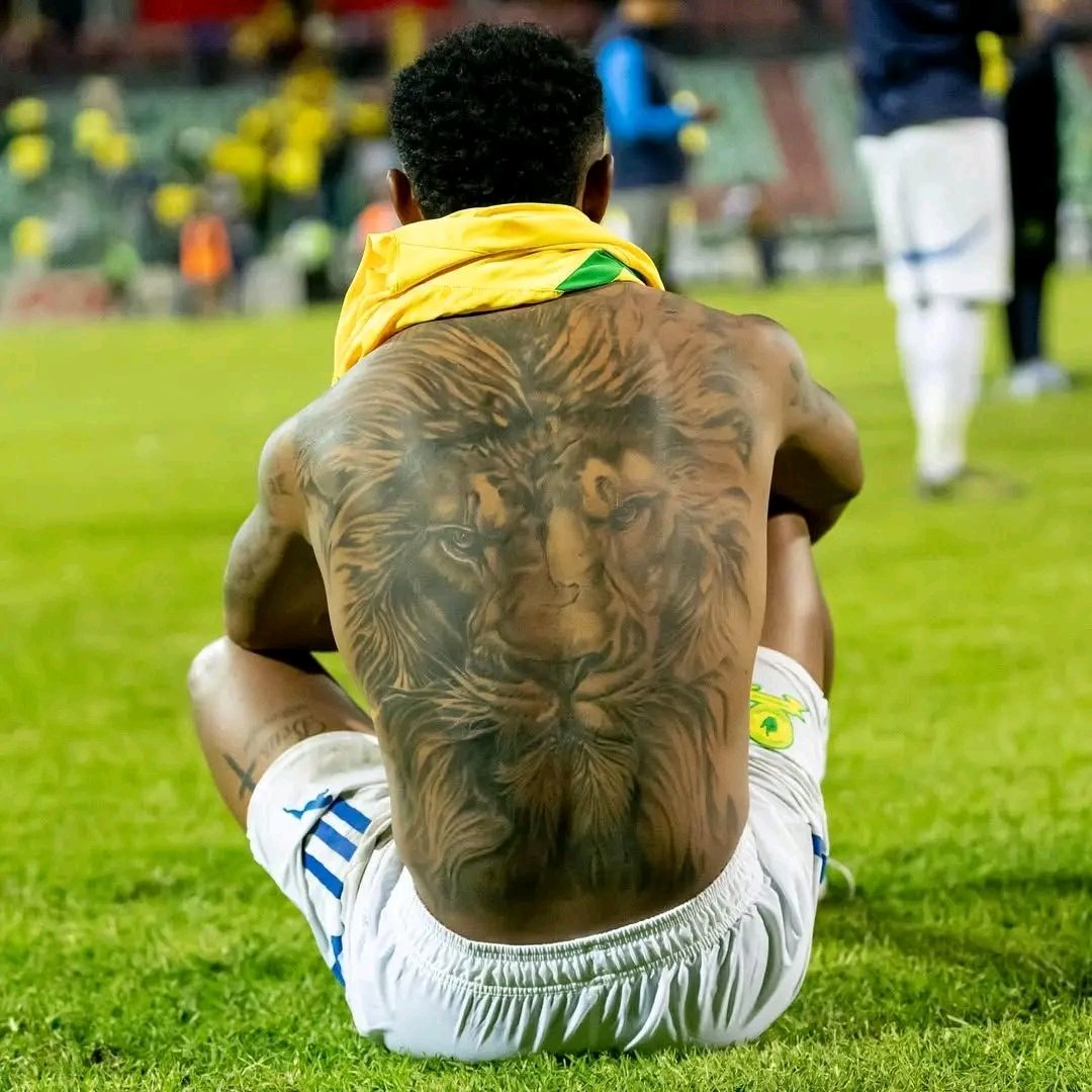 Mufasa Lucas Ribeiro Costa 🦁
#Sundowns #BetwayPrem #CAFCL