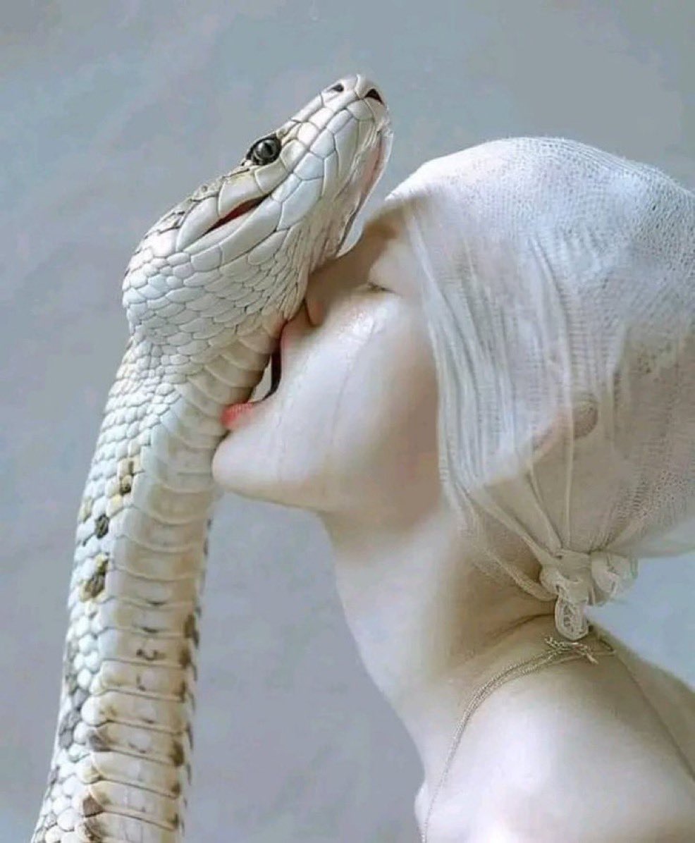 12 Kinds of Women You Should Never Marry at ALL Costs!

( Better to die ALONE or stay single than marry these kinds of women )

1. A Woman who's TOO educated.