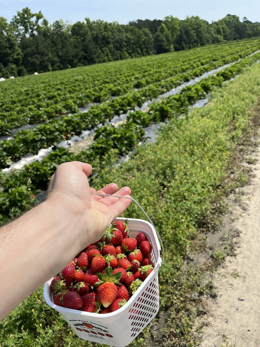 Cilegimizi topladik🥳receller yapilsin🤠
