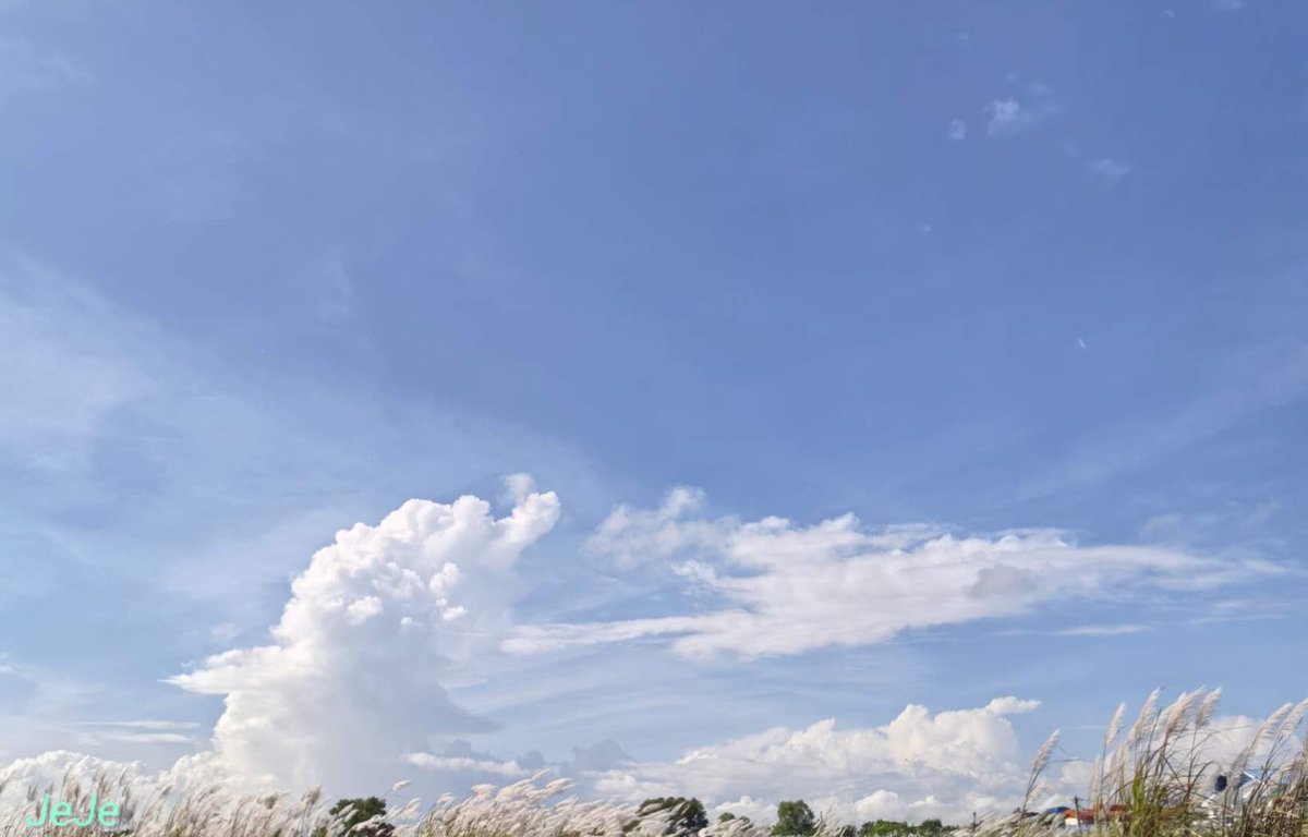 Enjoy the beauty of the clouds 🌥️☁️