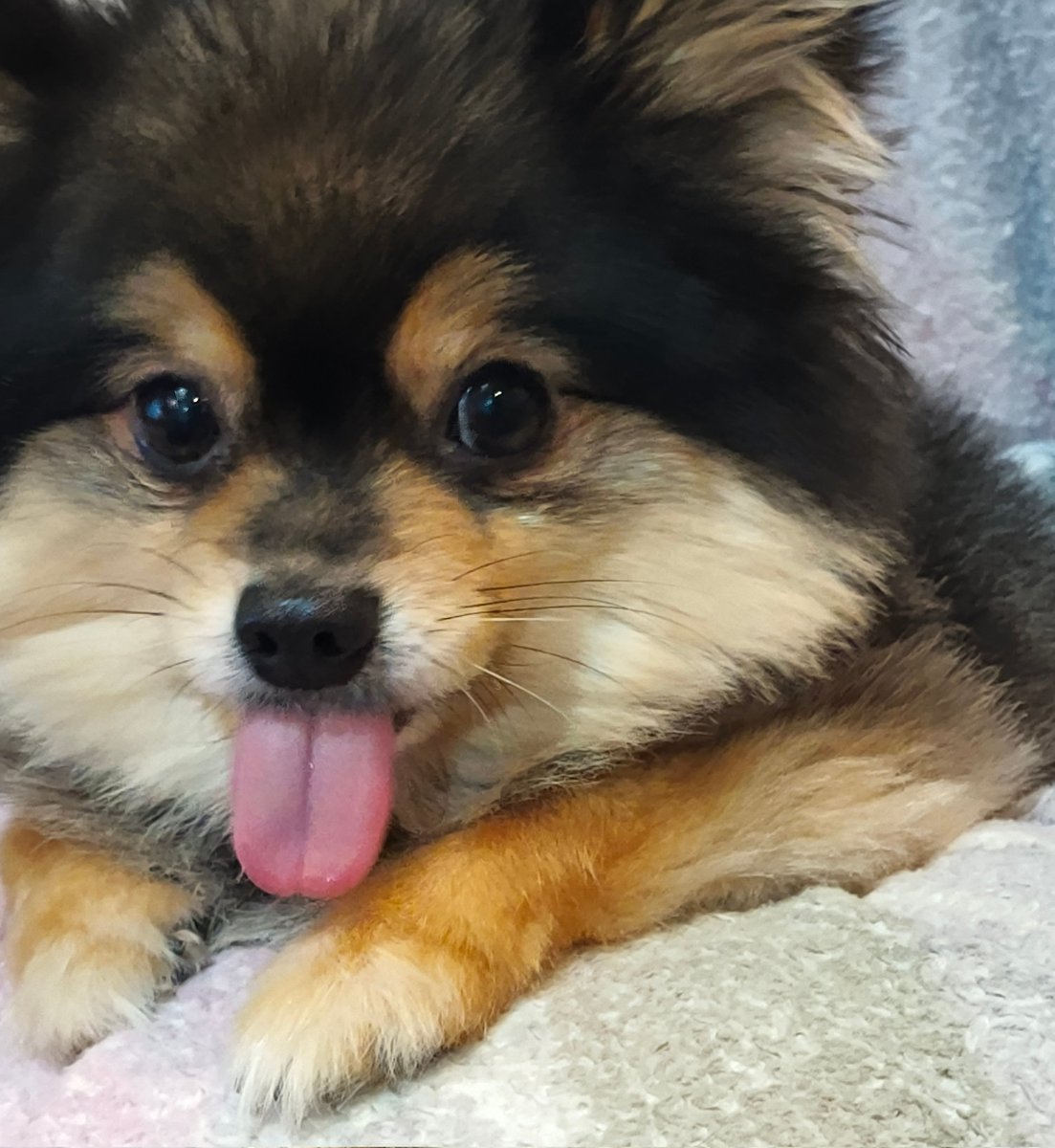 Karu_ARP's tweet photo. ไอน์สไตน์ https://t.co/dCHfBeP2Ce