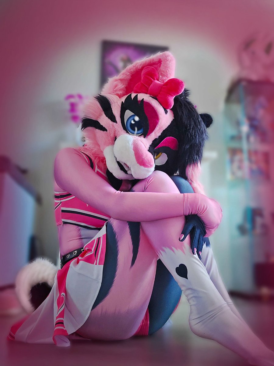 Catty.feline tweet media