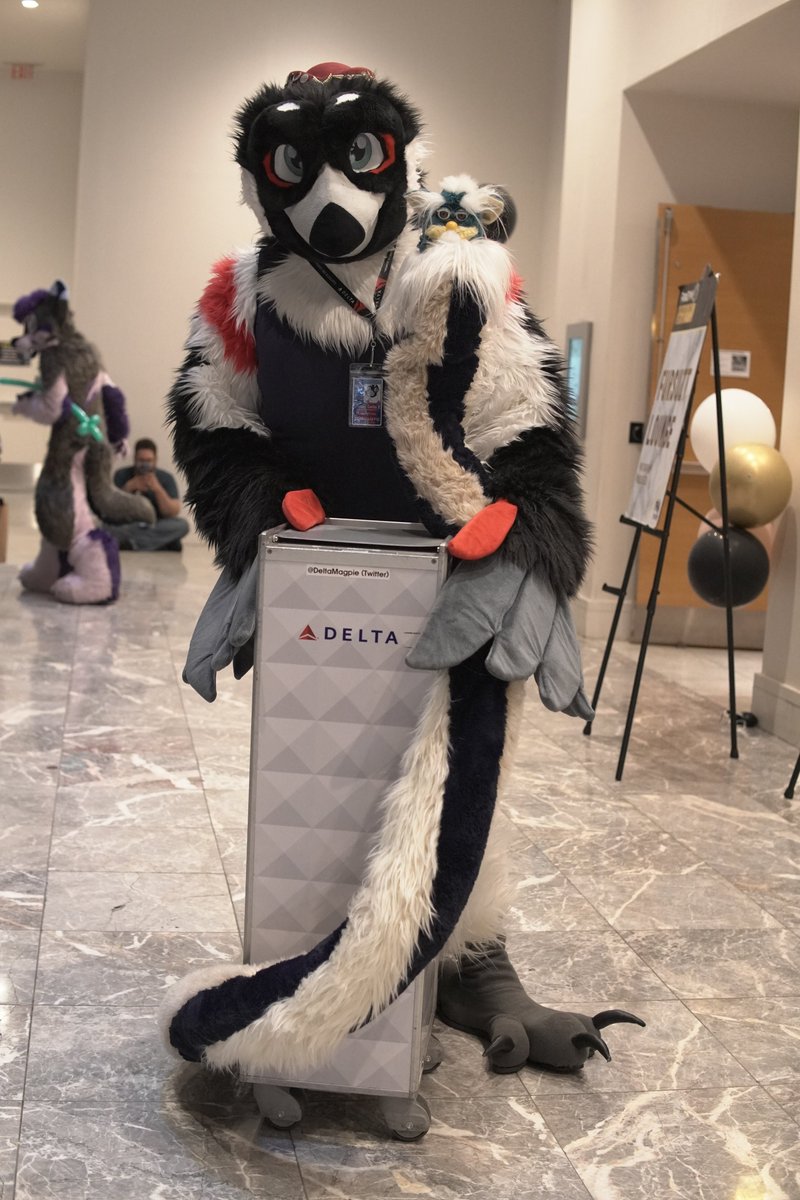 TheFoodMan52's tweet photo. Coiled @DeltaMagpie in Furby DA LOOONG WAY at #FWA25 https://t.co/IJ24hp4IO4